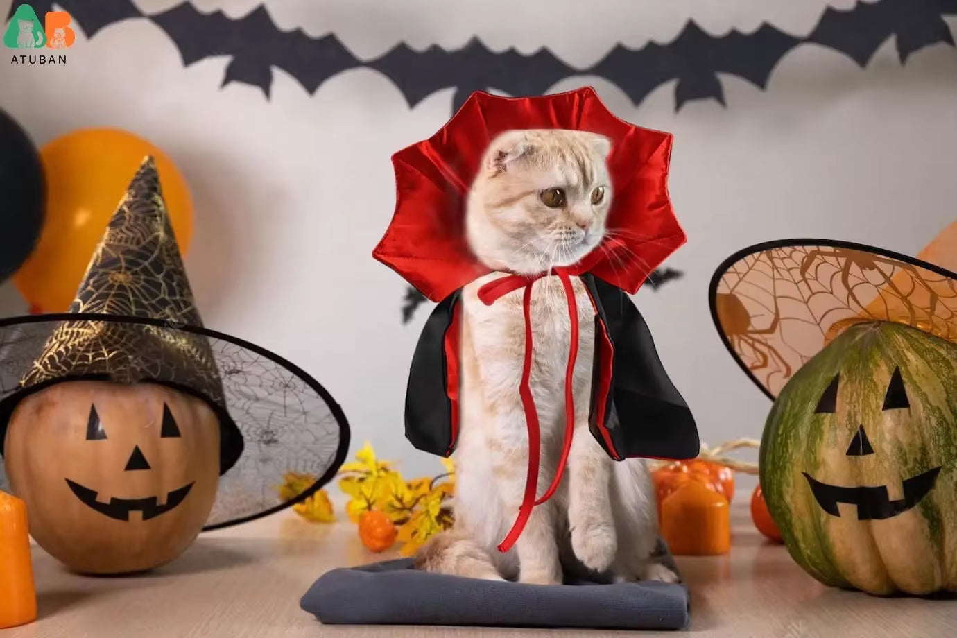 Cat Vampire Cape Costume