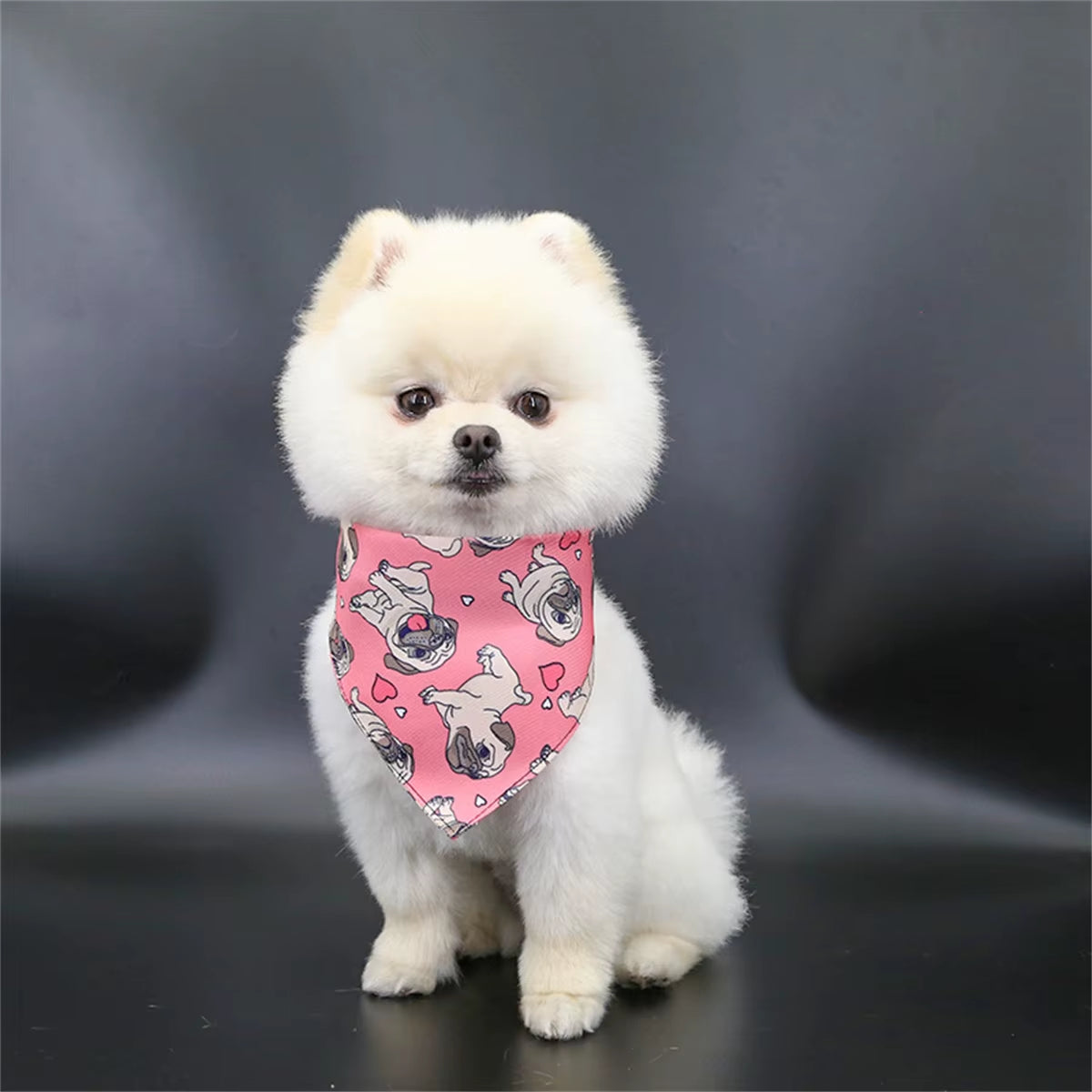 Cute Bear Pet Scarf
