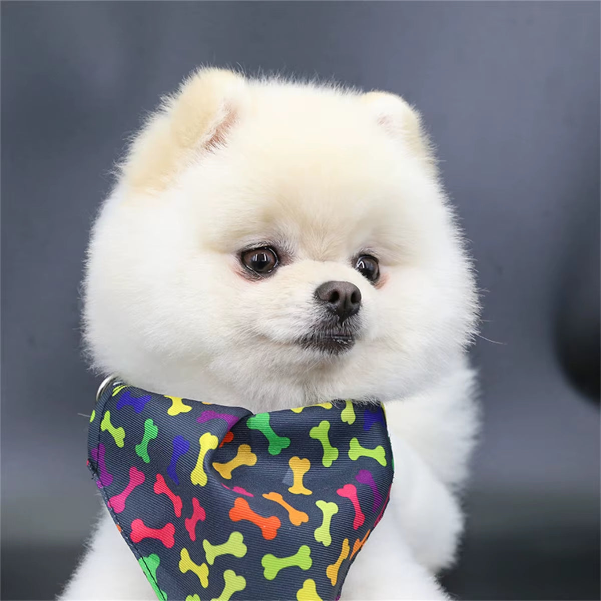 Cute Bear Pet Scarf