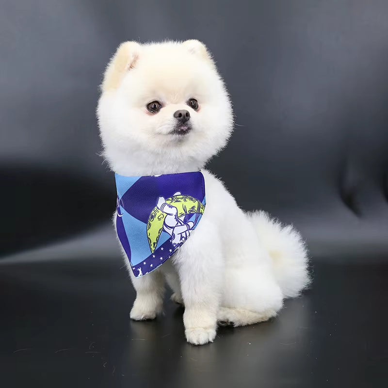 Cute Bear Pet Scarf
