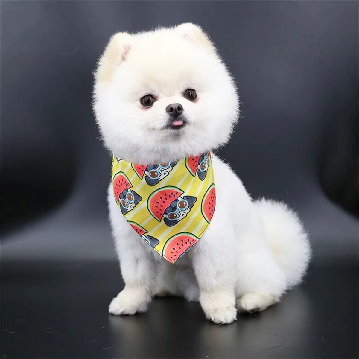 Cute Bear Pet Scarf