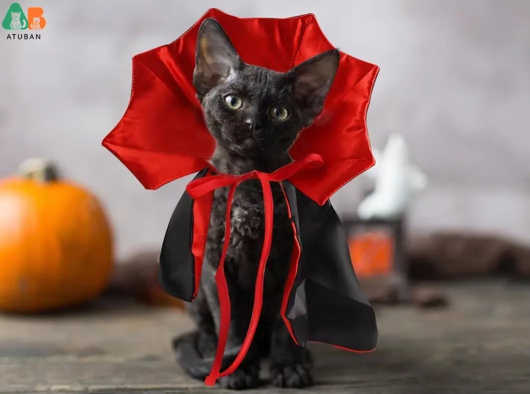 Cat Vampire Cape Costume