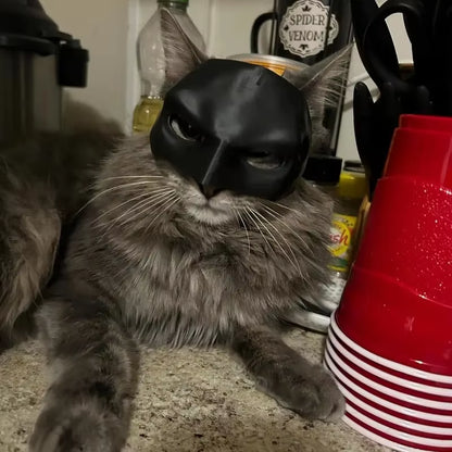 Bat Cat Mask