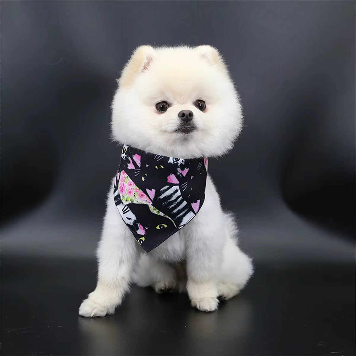 Cute Bear Pet Scarf