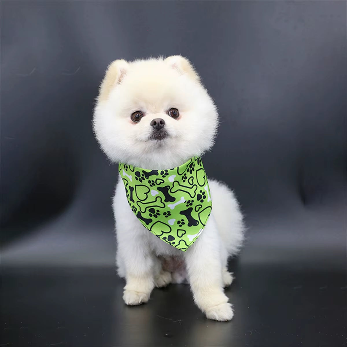 Cute Bear Pet Scarf
